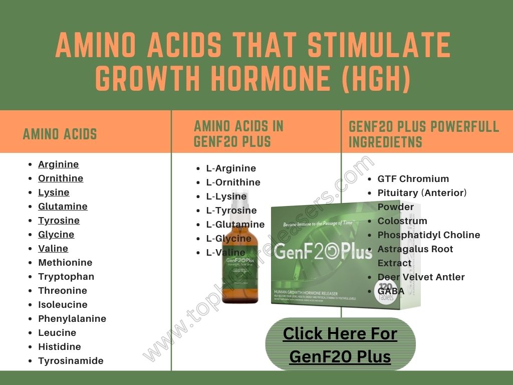 Amino Acids That Stimulate Growth Hormone (HGH)