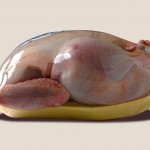 Food sources of L- tyrosine - Chicken