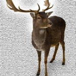 Deer Antler Velvet Extract Product