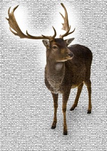 Deer Antler Velvet Extract Product