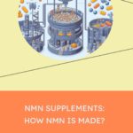 NMN Supplements: How NMN Is Made?